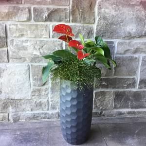 Meet your Posher, Annette